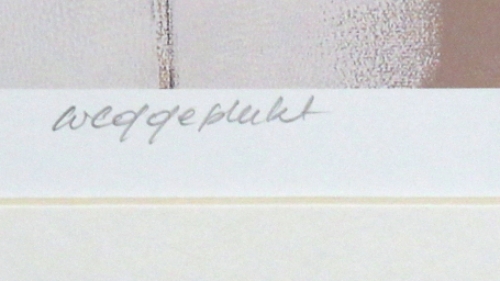 Gelimiteerde zeefdruk van Luc Drappier kopen