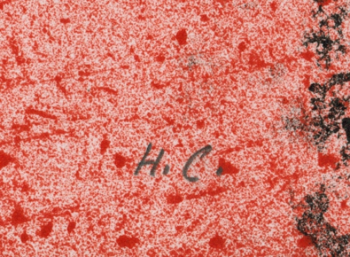 Kunstwerk van Luc Hoenraet  kopen