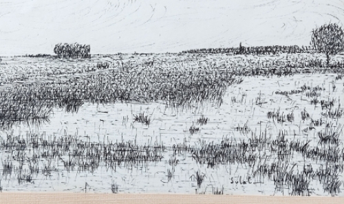 De Belgische kunstenaar Lucien Calus met een tekening