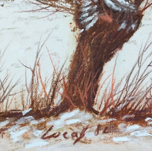 De Belgische kunstenaar Lucien Calus met een tekening