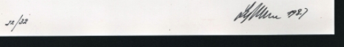 Rozen 1987  22/32