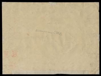 Interieuraanzicht keuken naar buiten (+/- 1900)