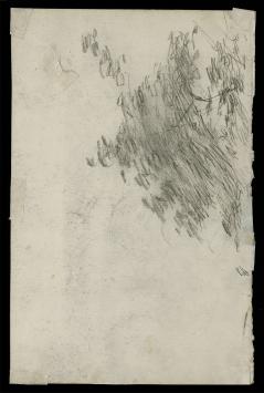 Oude  19de eeuwse schetsen kopen