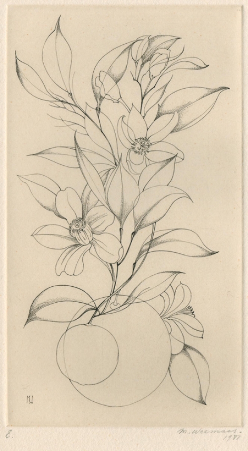 Een gravure van Margot Weemaes uit 1981