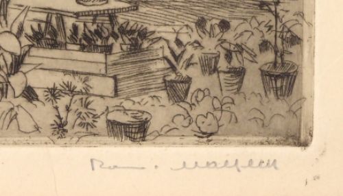 Bloemenmarkt lokeren 8/50