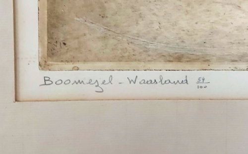 Boomezel (Waasland) 54/100