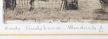 Oude lindeboom - Mendonk (8/50)