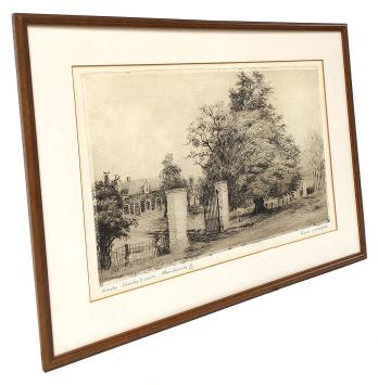 Oude lindeboom - Mendonk (8/50)