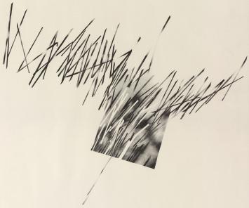 Originele litho van Marcel Cardon kopen