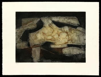 de Franse kunstenaar Marcel Fiorini