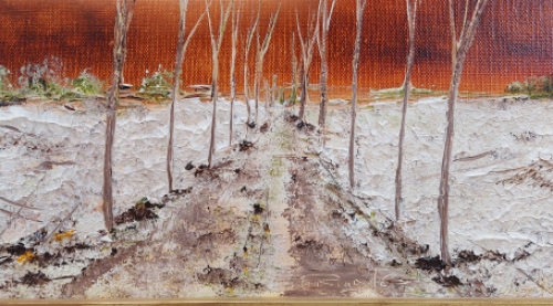 De Belgische kunstenaar Ringelé