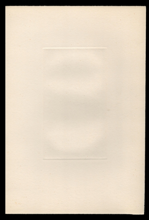 De lampionplant E 1981