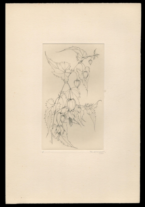 Burijngravure van de Belgische kunstenares Margot Weemaes kopen