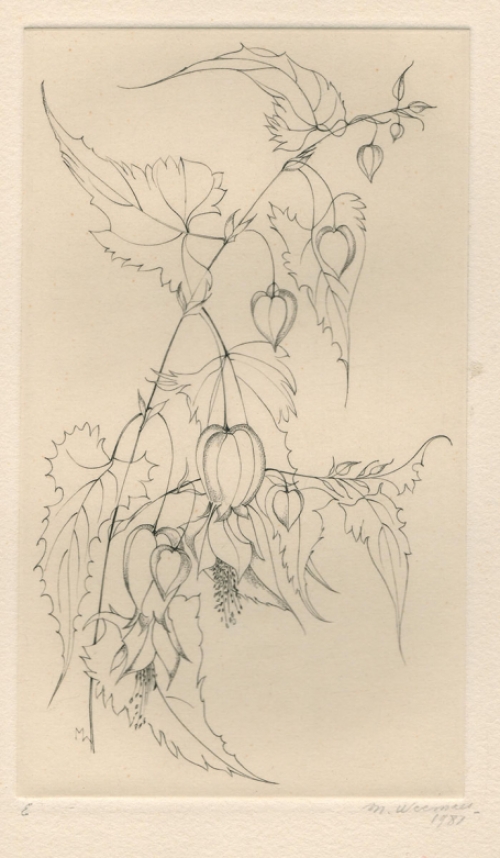 Een ets van Margot Weemaes uit 1981