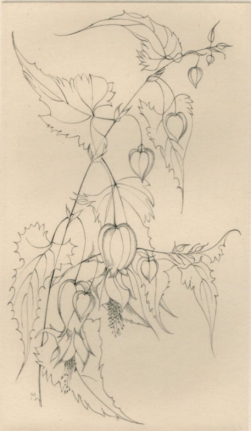 Margot Weemaes met een ets, épreuve d\'artiste