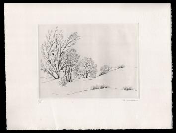 Ets van de Belgische kunstenares Margot Weemaes kopen