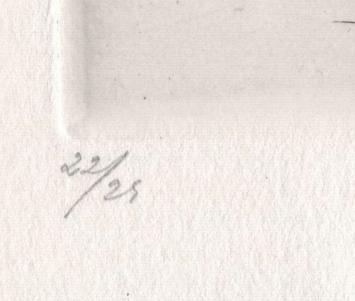 Verfijnd landschapje met twee huizen 22/25