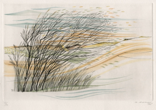 Een ets, landschap van Margot Weemaes