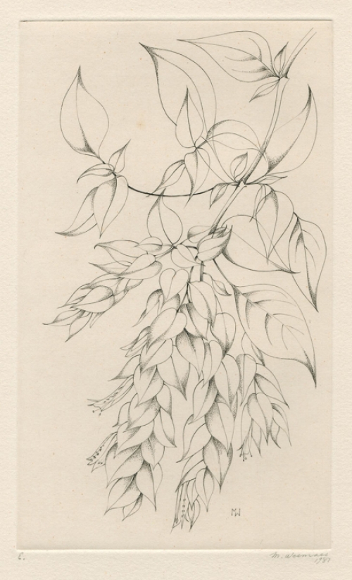 Burijngravure van de Belgische kunstenares Margot Weemaes kopen