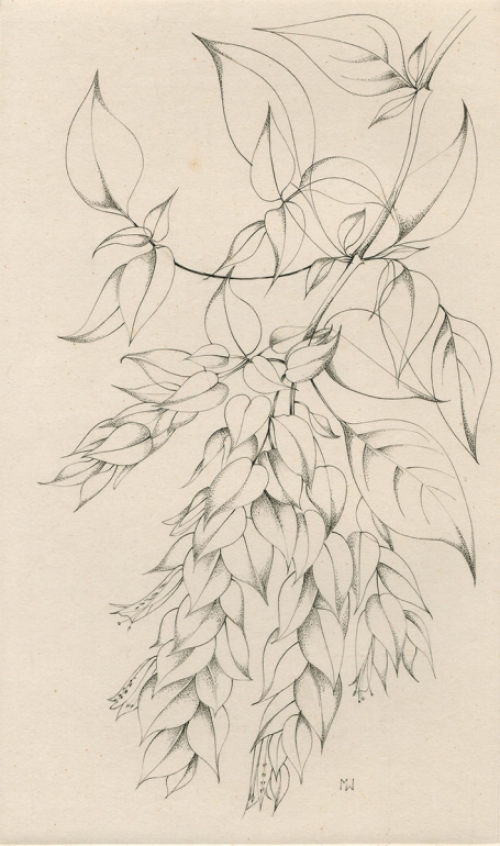 Een gravure van Margot Weemaes uit 1981