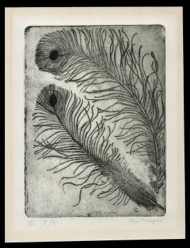 Ets Belgische kunstenares Maria Marques kopen