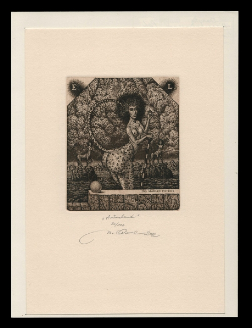 Een gravure van de kunstenaar Marián Oravec kopen