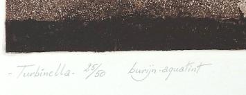 Turbinella burijn-aquatint 25/50