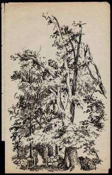 Bomen in het park  van F. Masereel kopen