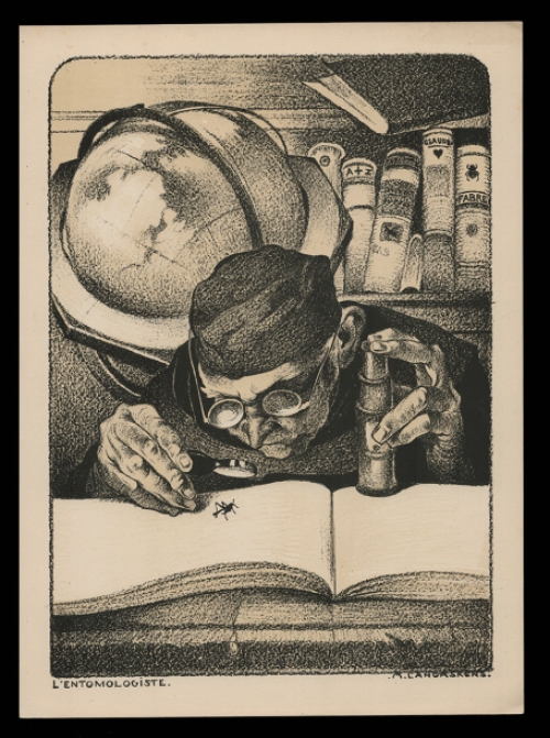 L\'Entomologiste  van Maurice Langaskens