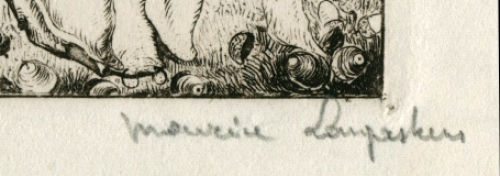 Des Cochons of varkentjes