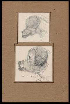 Tekening van Maurice Pauwaert uit 1937