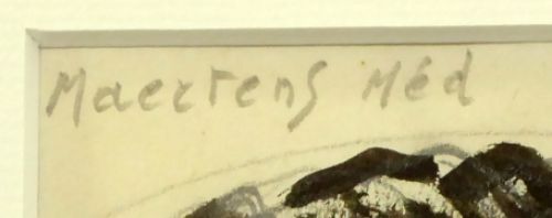 Belgian drafsman Medard Maertens