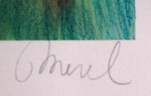 Belgische lithomaakster Merel Van Beeumen