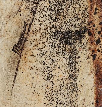 Belgische schilderes Mia Moreaux met abstract kunstwerk