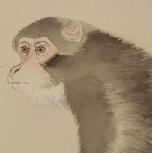 Monkey on silk