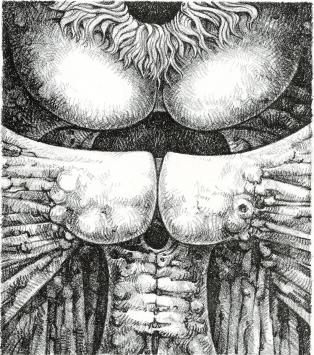 Belgische kunstenaar Roland Monteyne uit Aalst