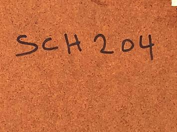 Pastel, Laag water bij valavond op de Schelde