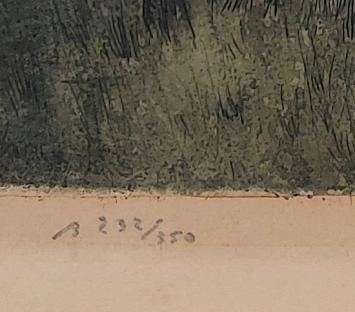 De doorgang bij de huisjes 232/350