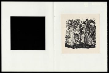 Belgische kunstenaar Nelly Degouy