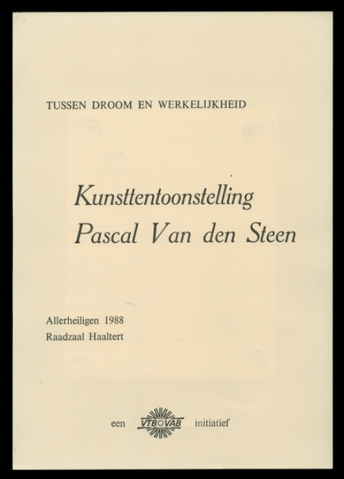 Schilderijen van Belgische kunstschilders kopen
