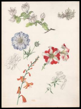 Kunstwerkje, aquarel van Pascal Van Den Steen