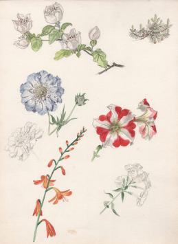 Aquarel van Pascal Van Den Steen kopen