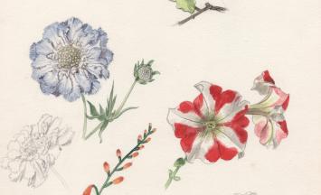 Waterverfschilderij door de Belgische kunstenaar Pascal Van Den Steen