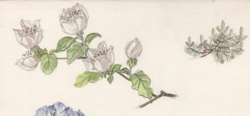 Belgische schilder Pascal Van Den Steen