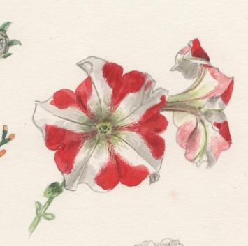 Schilderijtje op papier van Pascal Van Den Steen