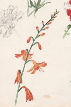 Schilderijen van Belgische kunstenaars kopen