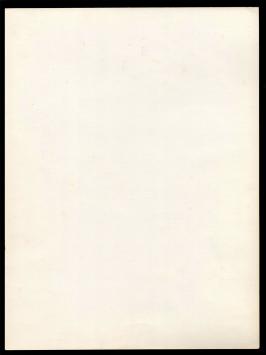 Korenbloem, Petuina en andere bloesems