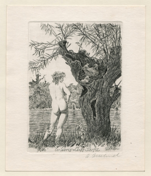 Een gravure van de graficus Antonín Odehnal