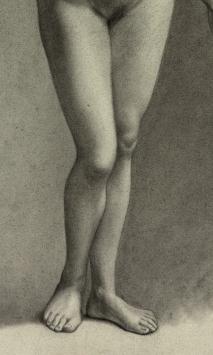 Vrouwelijk naakt kopen