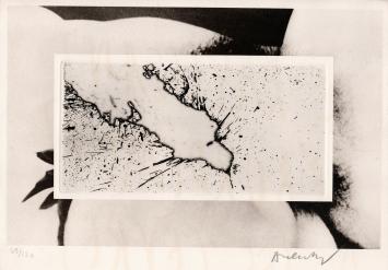 Kunstwerken Alechinsky te koop in onze online kunstgalerij